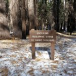 “Unique Places to Stay at Near Yosemite & Sequoia National Parks”