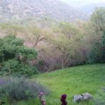 “Unique Places to Stay at Near Yosemite & Sequoia National Parks”