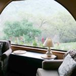 imageedit_1_4159125760