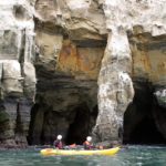 La Jolla Sea Cave Kayaks
