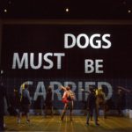 Curious Incident of the Dog in the Night-Time