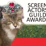 “Getting to Know Sabrina Pound: Hollywood Superstar Cat Extraordinaire”