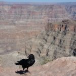 20180428_153100_1525414602406