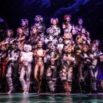 “Cats”
