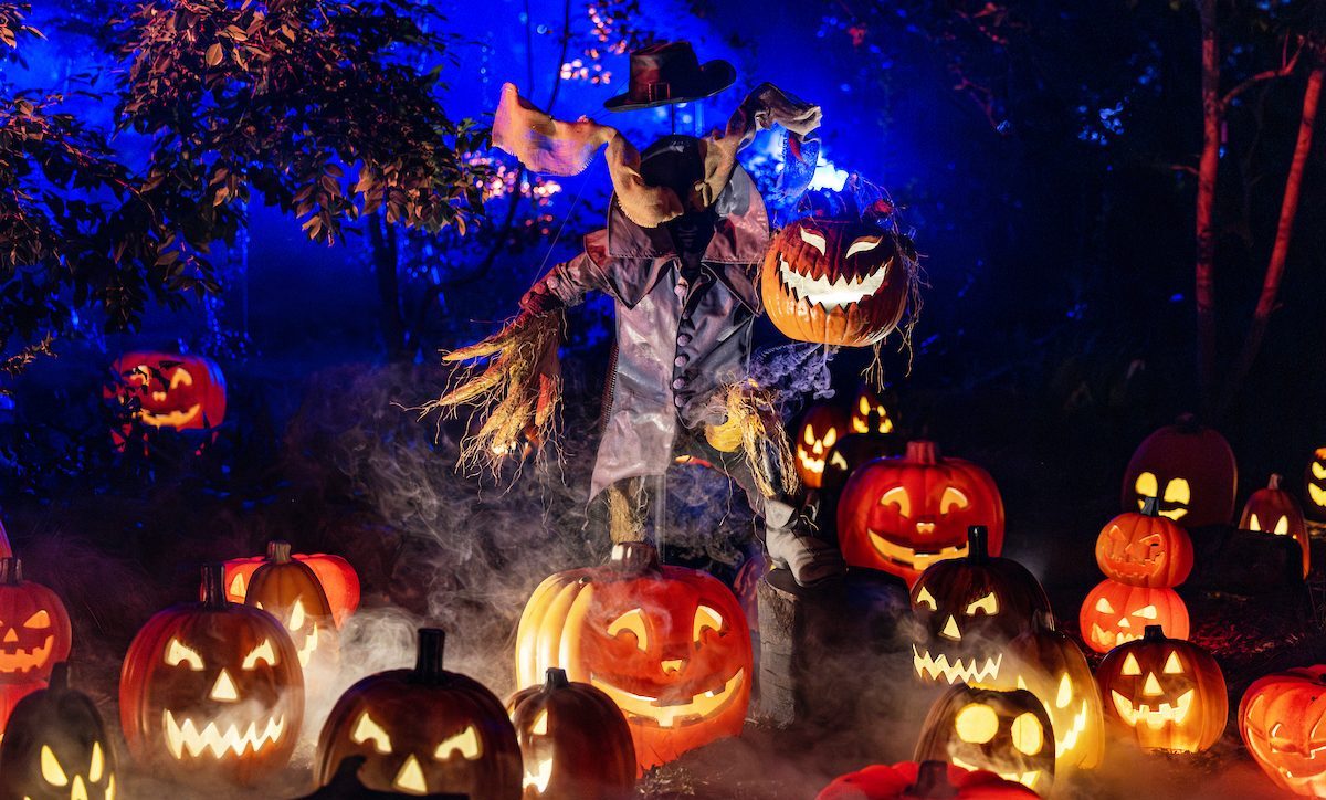 Preview: 'Carved' Returns to Descanso Gardens With a Mile of