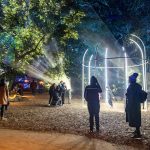 The Fantasy Forest offers a dose of whimsy at Enchanted Forest of Light © Kathryn Rapier