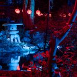 The Garden of Good Fortune basks in beautiful color during Enchanted Forest of Light © Kathryn Rapier
