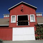 Frogs-Leap-Winery-Rutherford-3