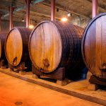 Subject: A row of large aging barrels in a wine cellar