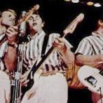 The_Beach_Boys_performing_with_guitars